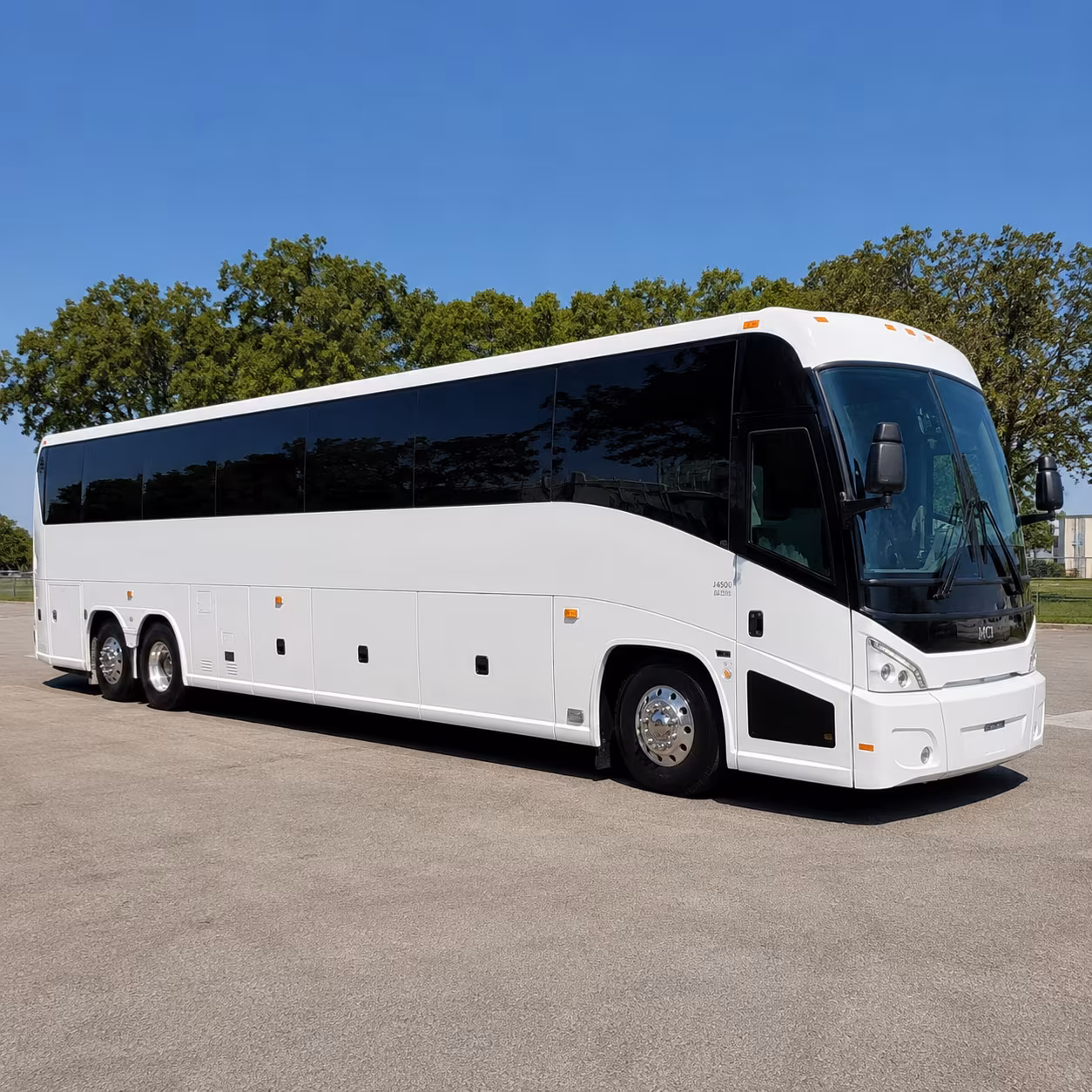charter buses for daytona beach area zoo and aquarium trips
