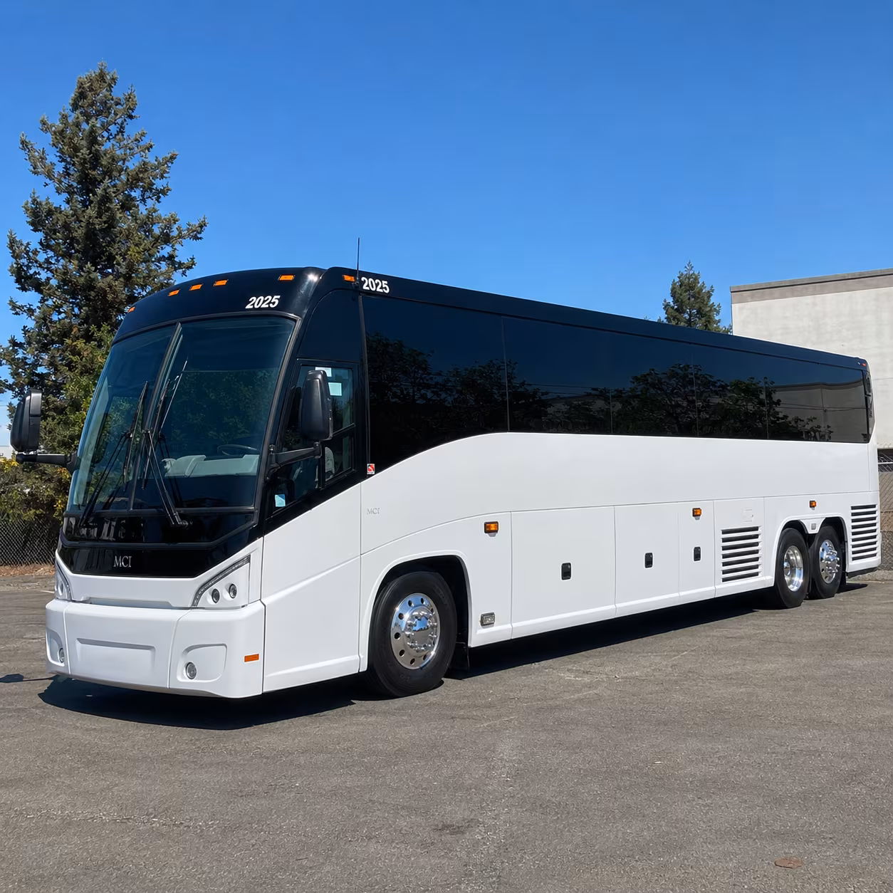 daytona beach 56 passenger charter bus